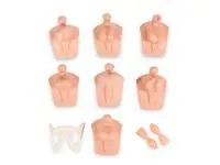 P10055 Тренажер для клинического обследования мужских гениталий ГОГА