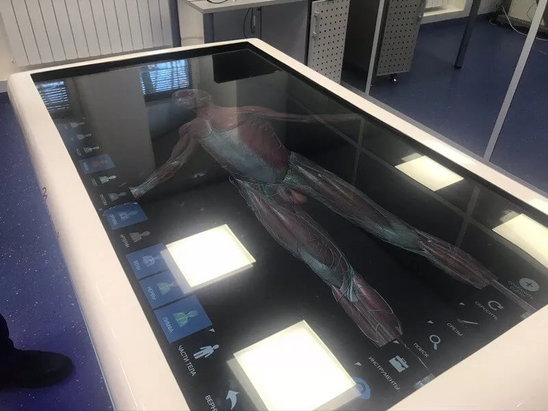 Стол Пирогов Стол Пирогов