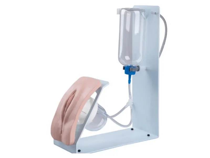 Женский пол