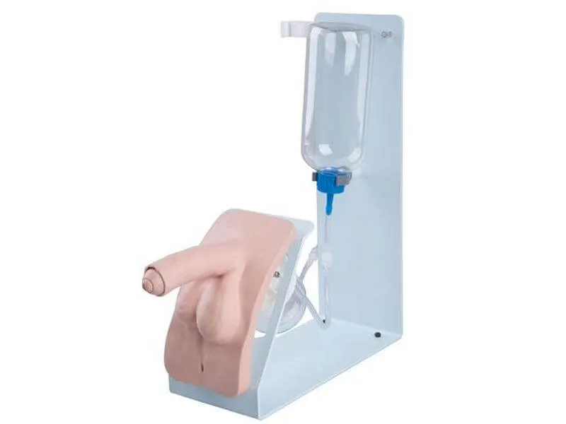 Мужской пол