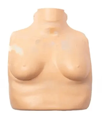 Кожа туловища женская