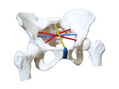310_Тренажер_пельвиометрии