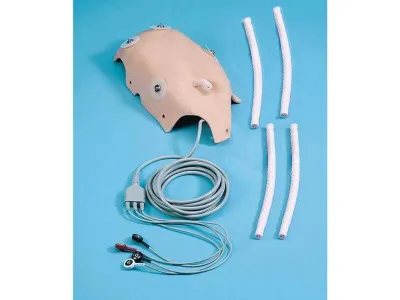 1017952 Замена кожи грудной клетки с ЭКГ для тренажера арт. 1005658