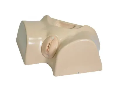 М0485 Фантом женской промежности для катетеризации