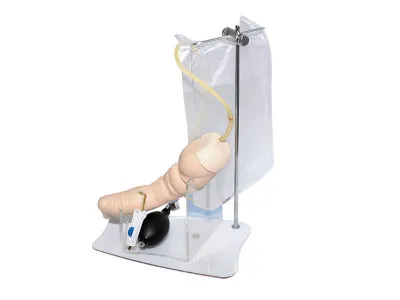 310_Модель нижней конечности_2