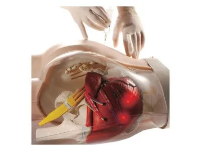 1005394 Тренажер «два в одном» для внутримышечных инъекций