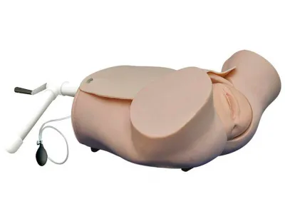 М0252 Тренажер роженицы с плодом (нижняя часть торса)