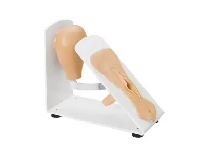 Тренажер женской катетеризации