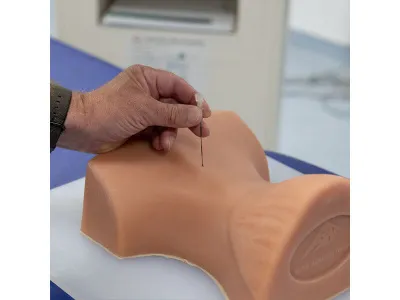 1021900 Тренажер инъекций шейного отдела позвоночника P67