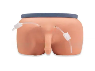 P17E Манекен-тренажер для отработки навыков катетеризации мужской уретры