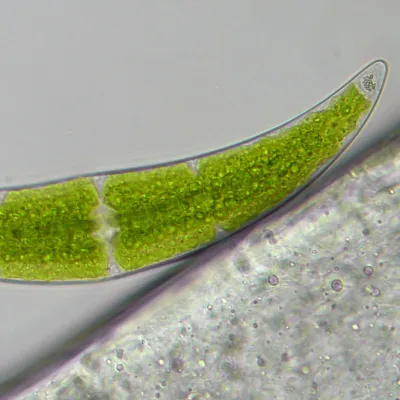 62567_bresser-microscope-researcher-trino_15