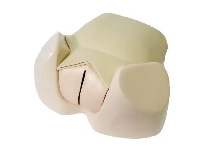 МУ0484 Акушерский тренажер для отработки навыков родов и демонстрации биомеханизма родов