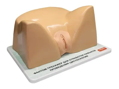 М0219 Тренажер для отработки навыков цистоскопии