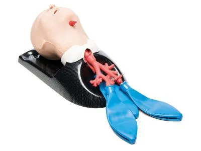 1021897 Тренажер AirSim Child Bronchi X для интубации ребенка 6-ти лет