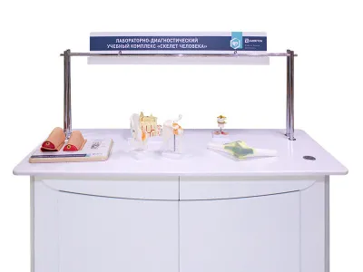 МУ0048 Лабораторно-диагностический учебный комплекс «Скелет человека», 177 см