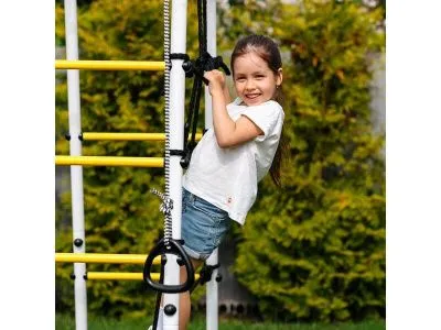 Детский спортивный комплекс для дачи ROMANA Богатырь MAX_3