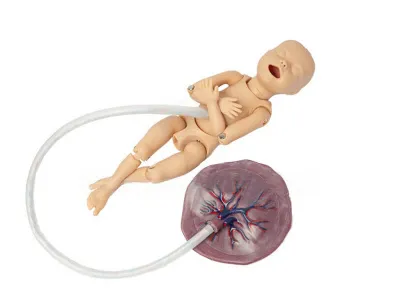 P54 Симулятор для отработки акушерских навыков с ручным позиционированием плода с дополнительными возможностями