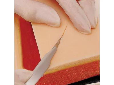 1017981 Тренажер хирургии для отработки разрезов и швов Life/Form