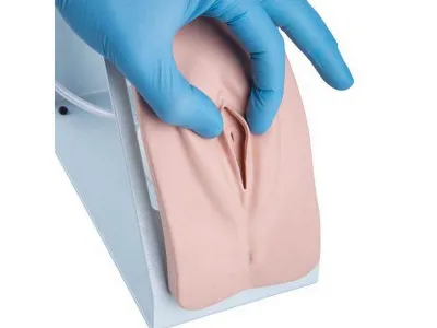 1020842 Комплект тренажеров BASIC для катетеризации мочевого пузыря у мужчин и женщин