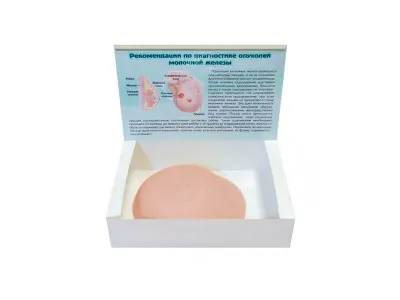 М0482 Тренажер отработки навыков клинического пальпаторного обследования молочной железы