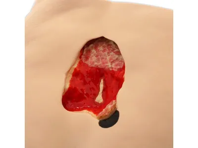 Симулятор ухода за пролежнями Seymour II_3