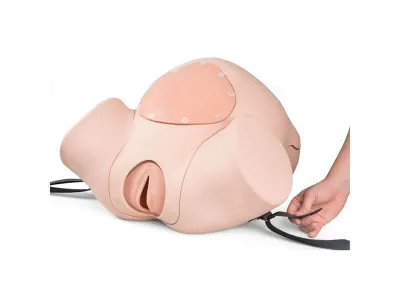 Тренажер родов, продвинутая версия_1