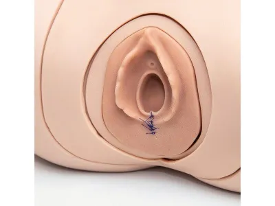 Модуль для обучения наложению швов к имитатору родов 1022879_5