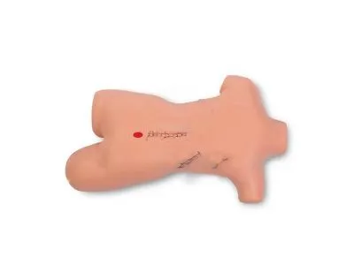 P18 Тренажер наложения швов и повязок