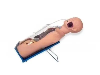 P1099 РУСЛАН Манекен-симулятор для отработки навыков промывания желудка, дренирования двенадцатиперстной кишки и желудочно-кишечной декомпрессии (с контроллером)