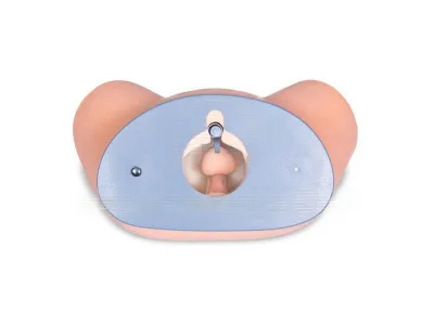 P63 Тренажер для отработки навыков обследования и массажа предстательной железы (9 сменных модулей)