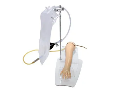 М0119 Модель верхней конечности новорожденного для освоения техники внутривенных инъекций