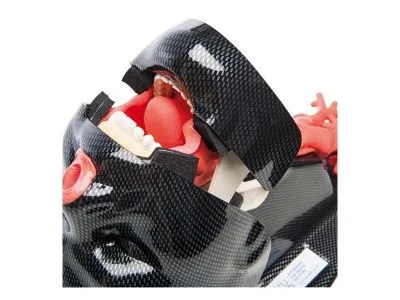 1015523 Модель дыхательных путей AirSim Bronchi для интубации