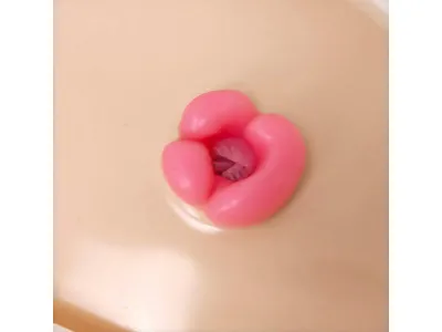 М1017 Тренажер ухода за стомами