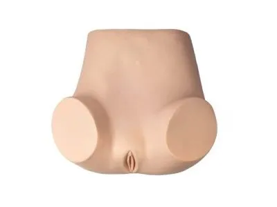 F35 Тренажер для отработки навыков гинекологического обследования, гистероскопии и кольпоскопии