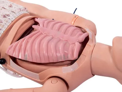 P10392 Манекен-симулятор для отработки навыков пунктирования костного мозга и сестринского ухода