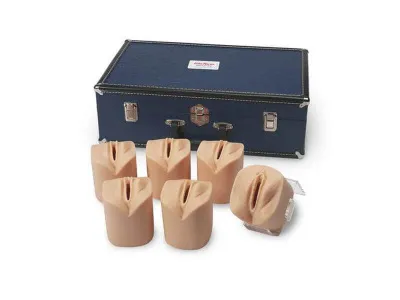 1019859 Имитатор родов и обследования шейки матки перед родами