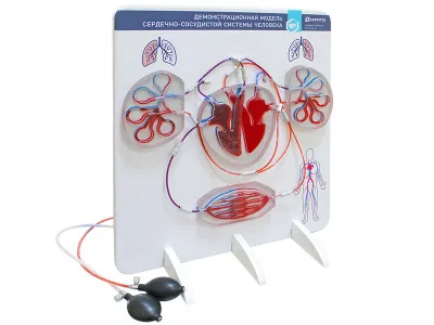 310_МУ0441_Демонстрационная_модель