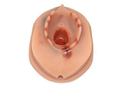 Модуль для обучения наложению швов к имитатору родов 1022879