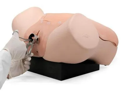 1021592 Гинекологический учебный тренажер для развития диагностических навыков