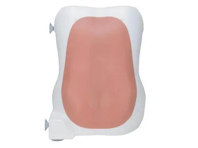 1017891 Симулятор для эпидуральных и спинальных инъекций