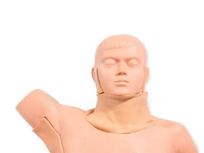 P10043 Манекен-симулятор для отработки навыков пальпаторного обследования лимфатических узлов с электронным контроллером ВОЛОДЯ-ЛИМФ