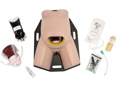 1022561 Тренажер навыков остановки послеродового кровотечения C-Celia