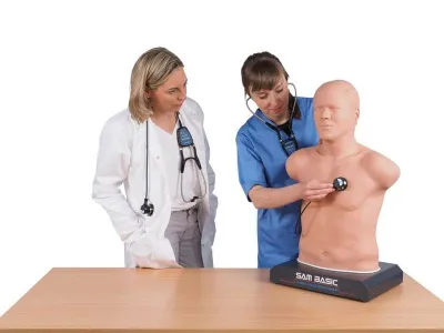 1020097 Манекен взрослого для аускультации SAM Basic®