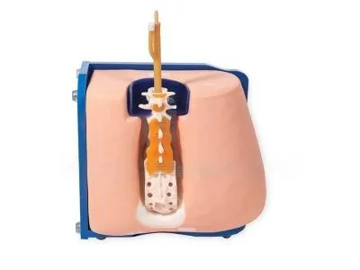 P68A Тренажер для отработки навыков люмбальной пункции