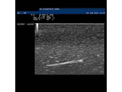 1019636 Модель инородного тела SONOtrain™ для УЗИ