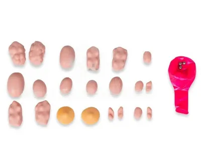 P1001 Модель исследования молочных желез (надеваемая)