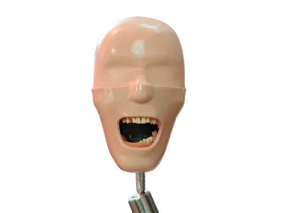 М0363 Денто-модель для хирургической практики