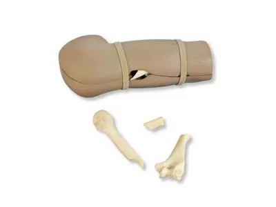 1017988 Тренажер перелома Life/form