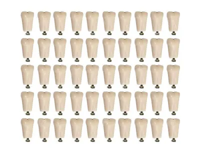 М0370 Комплект из 50 модельных зубов одного номера З-32-1.50К