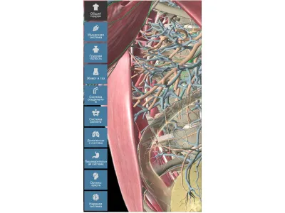 310_Интерактивная_панель_4